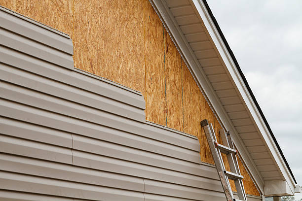 Best Steel Siding Installation  in Forest Hills, MI